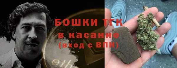 гашик Алексин