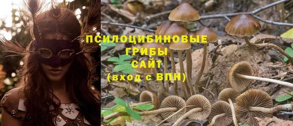 твердый Алексеевка