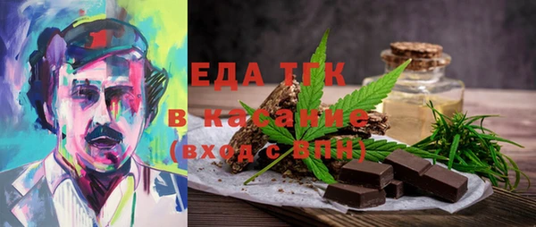 гашик Алексин