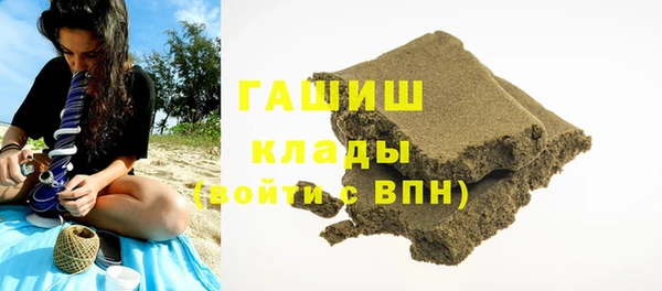 гашик Алексин