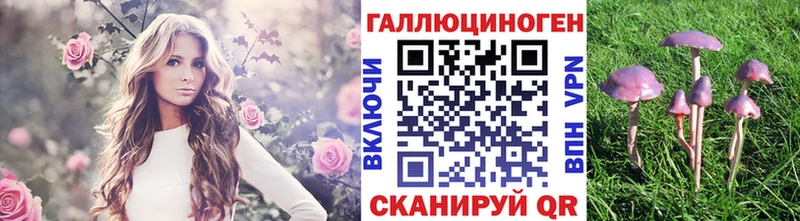 Галлюциногенные грибы GOLDEN TEACHER  Юрьев-Польский 